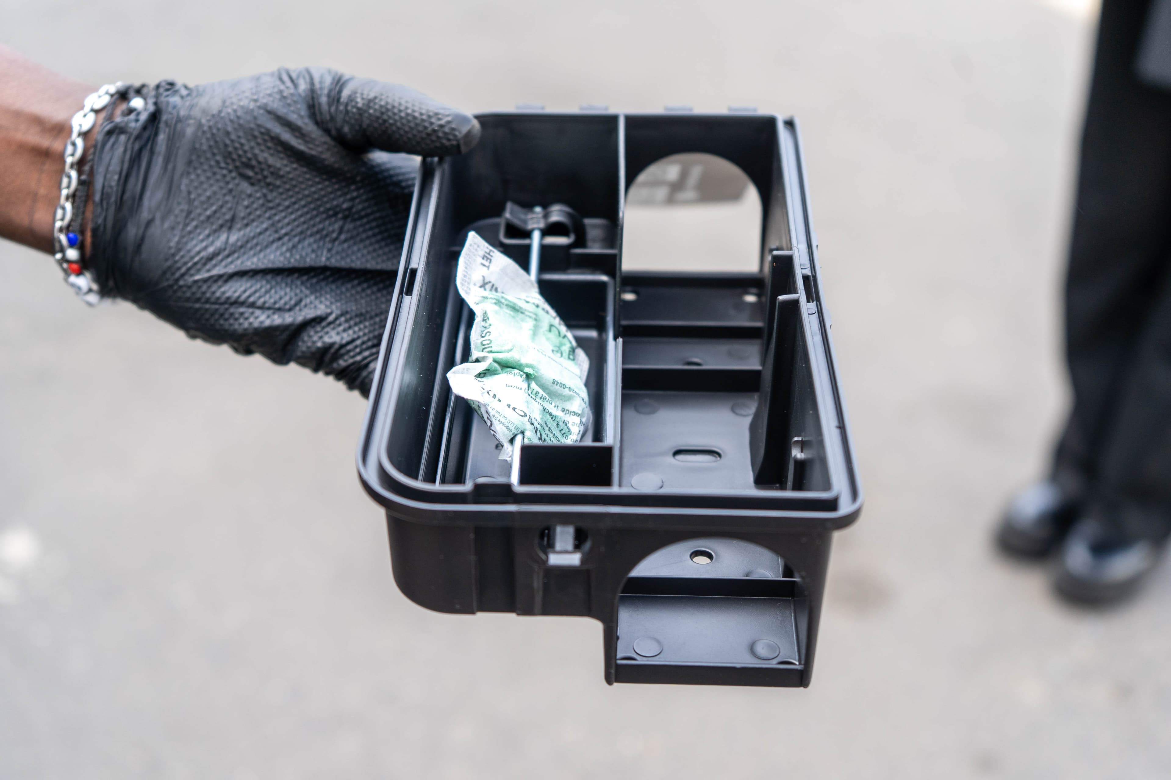 Détail du piège avec appât rodenticide